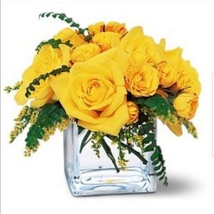 Meet your Posher, Christina